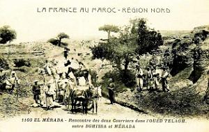 Merada 050
